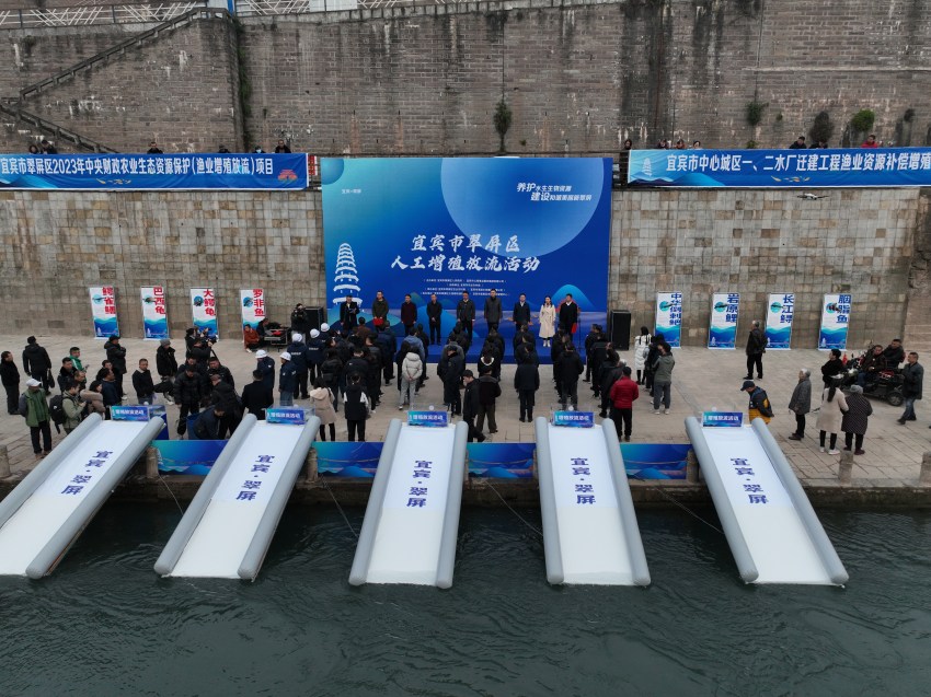 放流現(xiàn)場。宜賓市廣播電視臺供圖